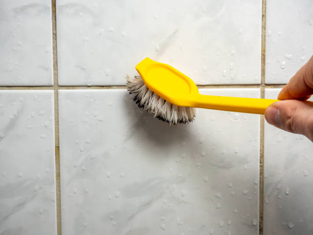Delaware, OH Mold Removal Company