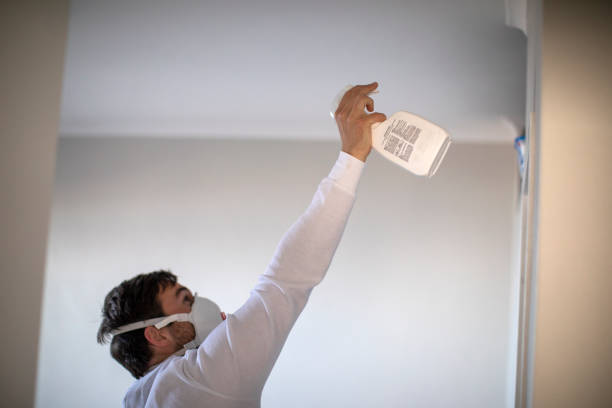 Best Commercial Mold Removal  in Delaware, OH