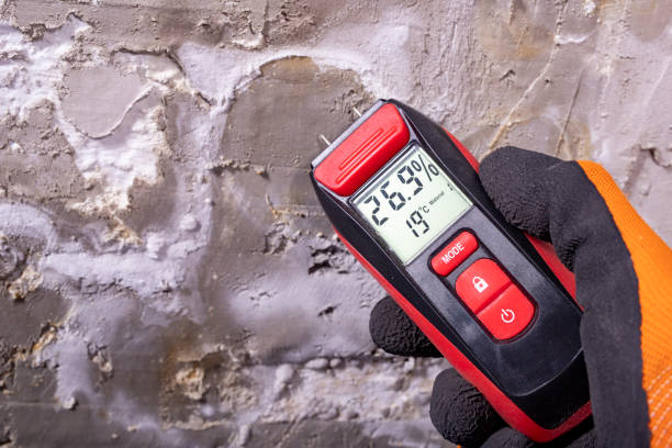 Best Mold Remediation Experts  in Delaware, OH